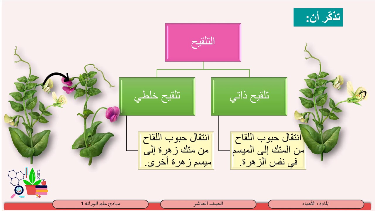 انتقال حبوب اللقاح من المتك