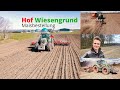 Maisbestellung - So machen wir es! HOF WIESENGRUND 4K