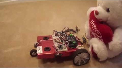 ECE425 Mobile Robotics: Robot Timer Interrupt for Obstacle avoidance with sonar and IR sensors