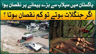 Flood in Pakistan - is forests are necessary?| Expert analysis | Aaj News