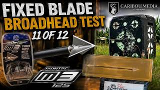 Is the G5 Montec M3 Worth Your Money | Broadhead Test