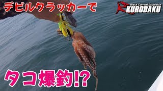 【タコ釣り】明石タコ爆釣⁉