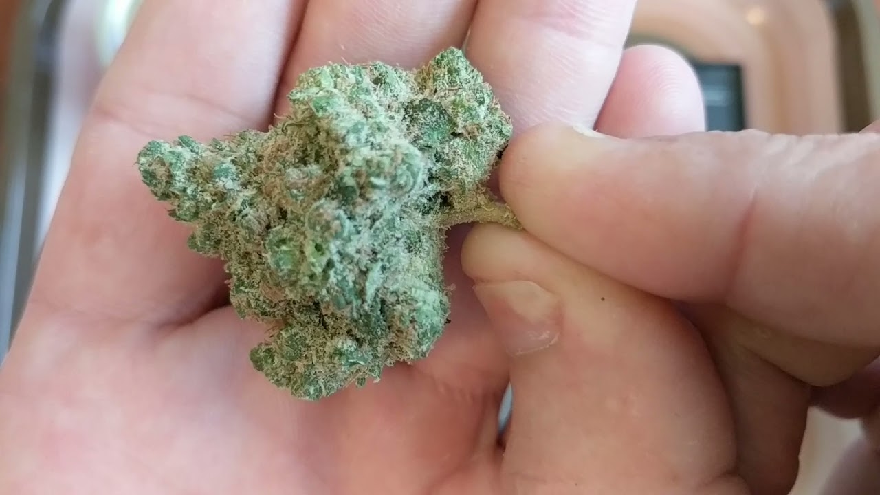 White99 GrowHealthy (30%)