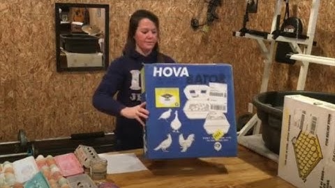Hova-Bator Genesis Model 1588 Incubator Review plus tips and tricks to hatching chicken eggs part 1