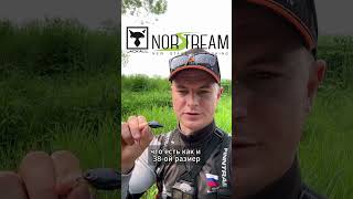 как поймать голавля ОБУЧЕНИЕ @norstream #jackal #norstream #new #russia #video