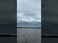 Old Fashioned Mexican Doble | Duck Hunting