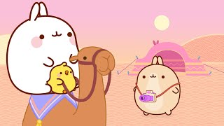 Molang and Piu Piu : An Unforgettable CAMEL Ride  | Funny Compilation For Kids