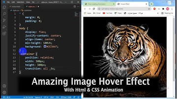 Amazing Image Hover Effect With Html & CSS Animation |   Bangla Tutorial 2021