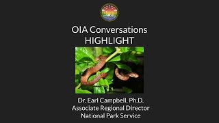 Celebrity The Brown Tree Snake and Other Invasive Species in the Marianas - A Highlight Profile