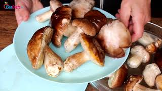 Грибы. Кто они? Царство грибов, удивительные свойства. Почему грибы растут только после дождя