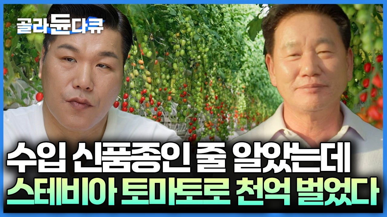 한국인이라면 다 먹어봤을 스테비아 토마토 사실 한국 농부의 손에서 태어났다 토마토 하나로 연 800억, 국내 최대 규모 스마트팜 토망고｜서장훈의 이웃집 백만장자｜#골라듄다큐