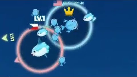 Fishdom, Fishdom gameply.               December 13, 2023