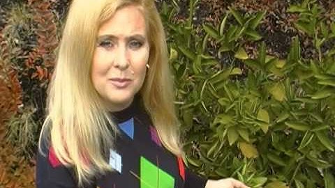 How to Tell When a Lime is Ripe - Your YouTube Mom