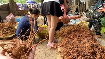 Mộc mạc chợ phiên Tây Bắc bán nhiều đặc sản & thảo dược mới lạ | Tôi Người Vùng Cao