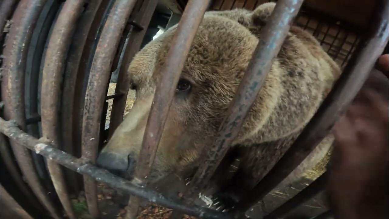 Through the bars. Through the bars