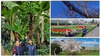 Kew Gardens in Spring are Beautiful | Treetop walk | Palm House | Exploring London