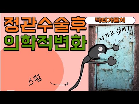 정관 수술 후 의학적변화(남자필독)