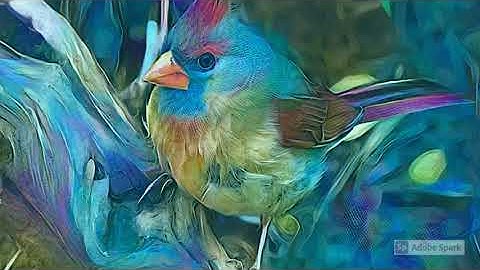 Deep Dream Generator Animal  Art