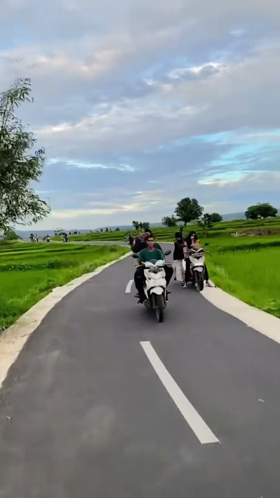 Sawah viral #storywa #indonesia #acehdarussalam #viralvideo #aceh #viral #fyp #status #trending