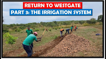 Farming in Zambia: Setting up a Permanent the Irrigation System at Westgate 1