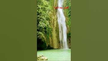 القارئ جمال الحمادي (القرآن الكريم