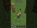 tik tok hack #minecraft #gaming #shorts #tiktok
