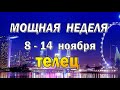 ТЕЛЕЦ 📕 ЖАЖДА СВОБОДЫ 📕 неделя с 8 по 14 ноября. Таро прогноз гороскоп гадание