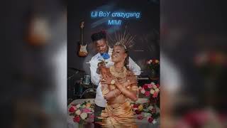 Laisse Les Parler - Lil Boy Crazygang