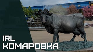 : IRL - Komarovsky Market