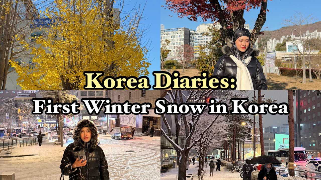 Korea Vlog: First Winter Snow in Korea ✨Magical Seoul Adventure