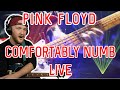 Guitarist Reaction | Pink Floyd | 'Comfortably Numb' Live (Pulse)