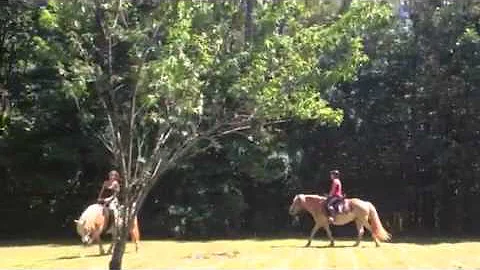 Kelly horse riding BOP farm