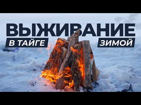 Что делать, если заблудился в тайге зимой? Ошибки, которые могут стоить жизни | Факты