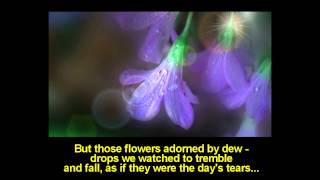 Beautiful Love Poetry in Spanish: The Black Swallows will Return: