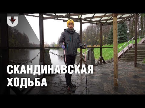 Скандинавская ходьба: основные правила и ошибки