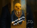 #పోత పోత పైసాలని పట్క పోతవరా...#comedy