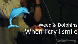 Weed &amp; Dolphins – When I cry I smile (ВИЛЬЯ FEST 24/06 live)