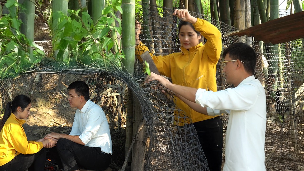 CEO Quang Is Happy When Linda Returns To Him – Helps Linda Build A Fence To Protect The House