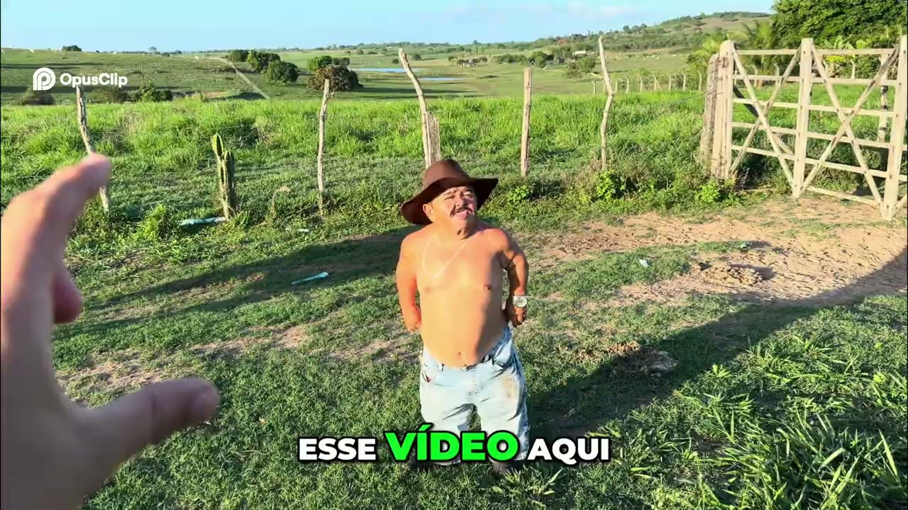 Valentinho vs Tamborete  Quem Vence a Enquete Pizzerinho  2