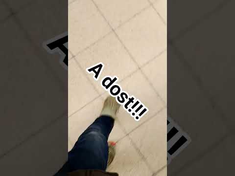 I Fu King Albert Už