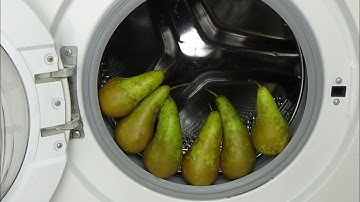 Experiment - test, pears in a washing machine - pear broken in washer, juice by centrifuge, #80