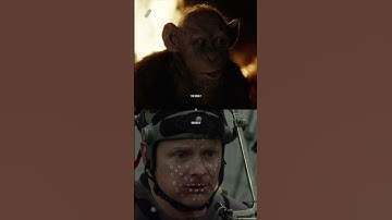 Motion capture performance | For the realization of the character Bad Ape