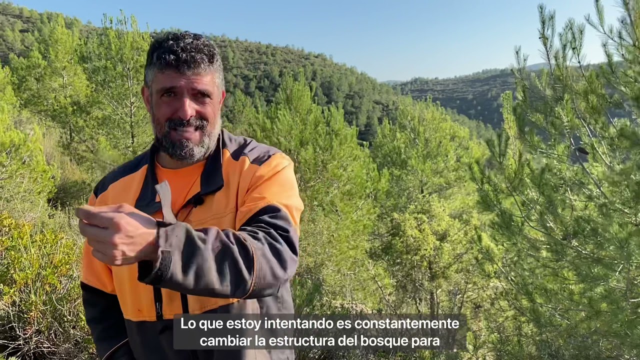 Parque del Garraf (Barcelona)