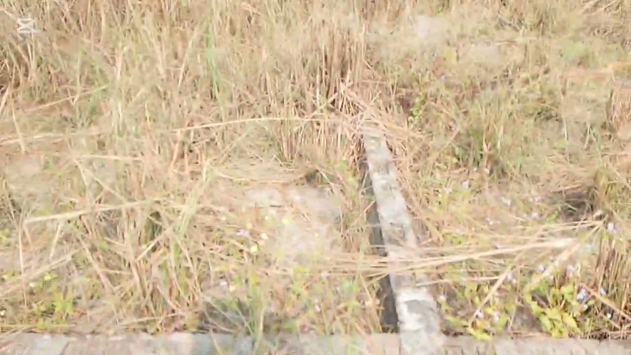 কেরানীগঞ্জ কদম তুলির পাশে পশ্চিম ভাগনা এলাকায় এই তিন শতাংশ জমিতে বিক্রি হবে প্রতি শতাংশ ১১ লাখ টাকা