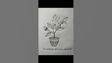 Biology Practical All SSC Part 1 Biology Science Ssc Practical 