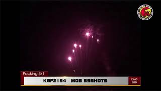 34 KBF2154 wmv