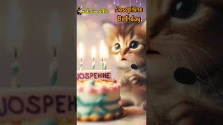 Happy Birthday Josephine Happy Birthday Song With Names Adorable Cute Cat