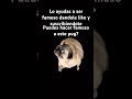 16 de abril del 2026