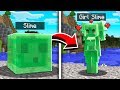 How to Turn EVERY MOB INTO A GIRL in Minecraft!