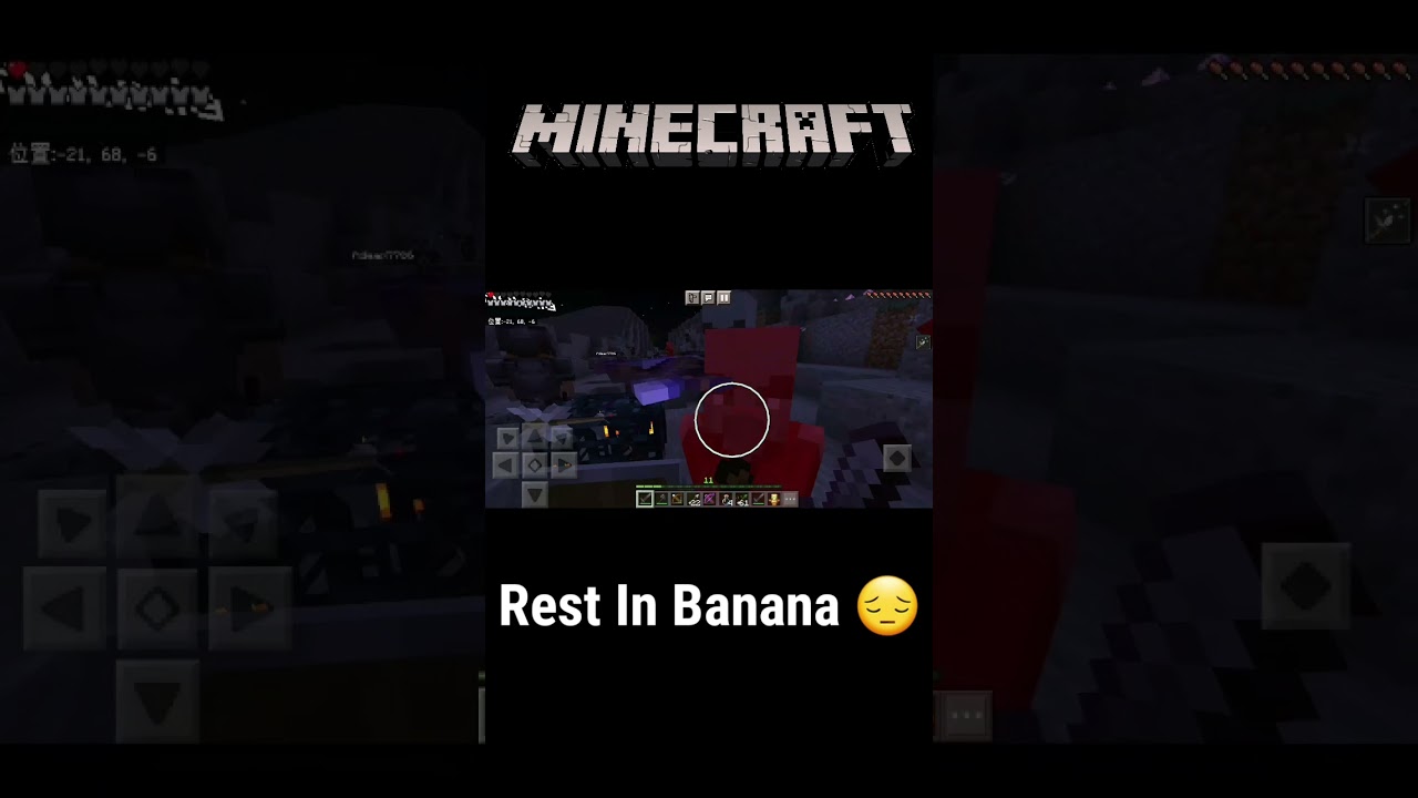 I died in the war Minecraft